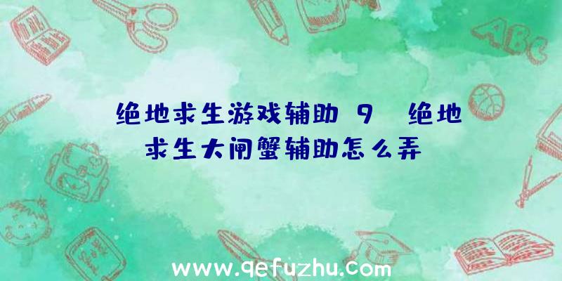 「绝地求生游戏辅助u9」|绝地求生大闸蟹辅助怎么弄